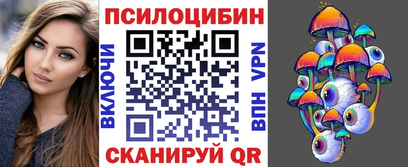 Купить закладки  Электрогорск  Псилоцибиновые грибы мухоморы 